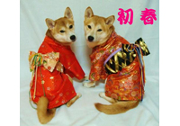 ギャラリー写真