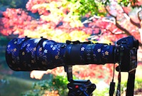 ギャラリー写真